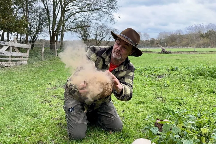 whatsapp image 2023 11 11 at 174642