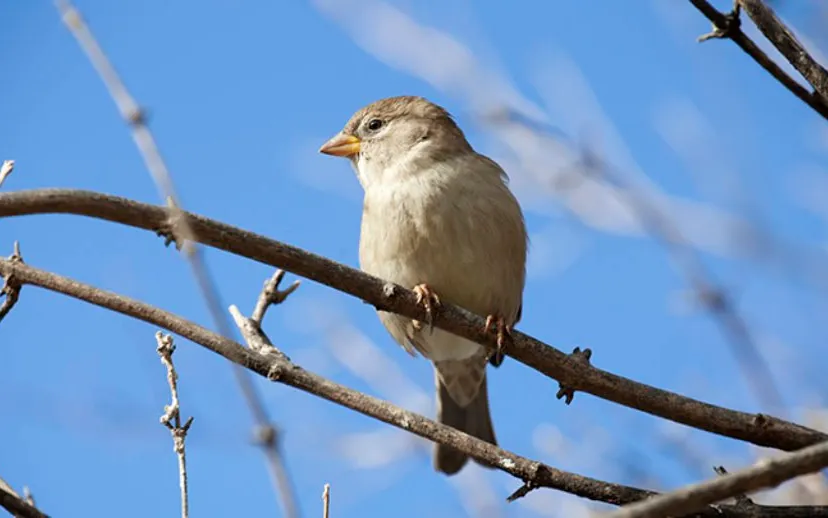 wim meijer fotografie mg 9410 banner 915x518