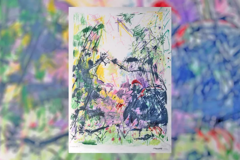 zomer i dirck nab col