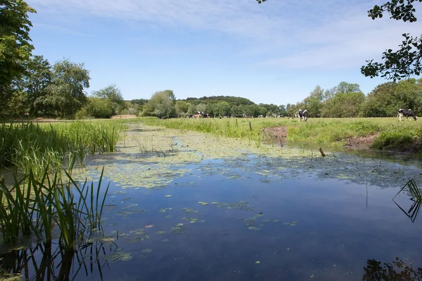 461780669 883031037345960 3567160383342489934 n