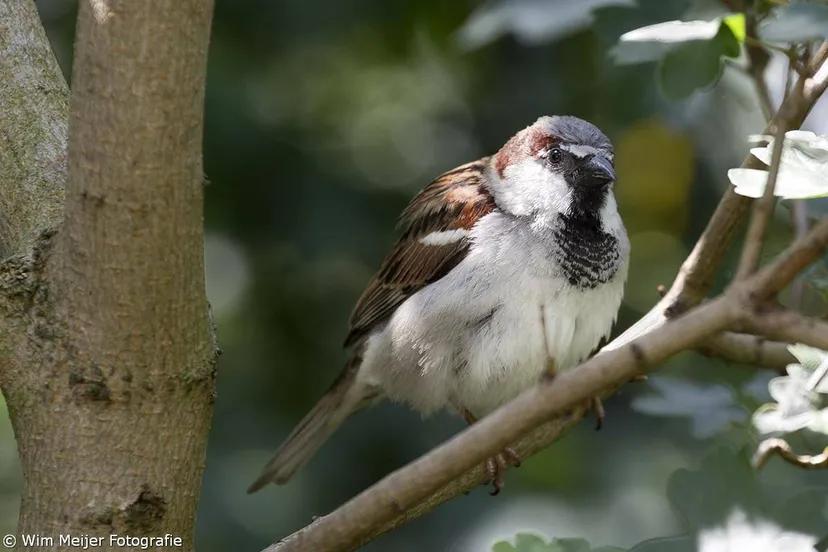 464965783 28103039462614639 1675416457093263857 n