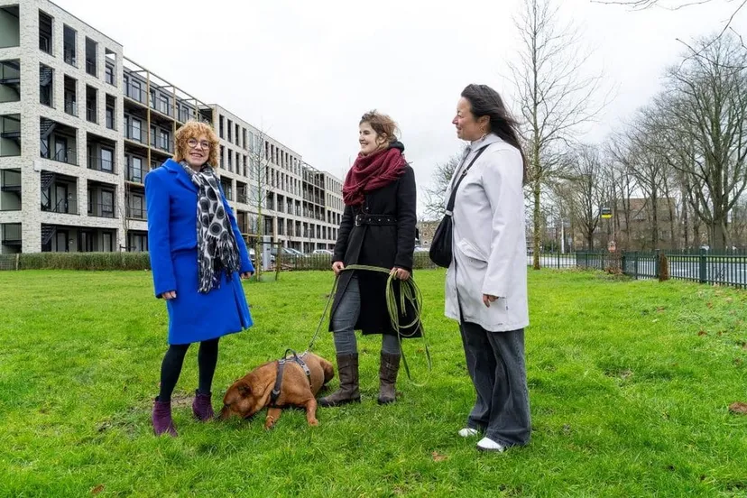 foto hondenveldje overdie jan jong fotografie 1024x703