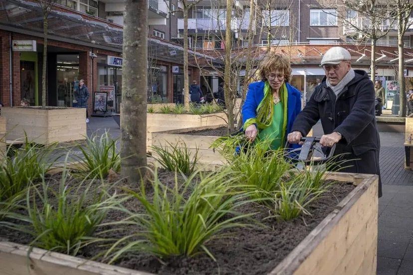 20250305 alk mare lopend bos anjo van de ven 005 verkleind 1024x925