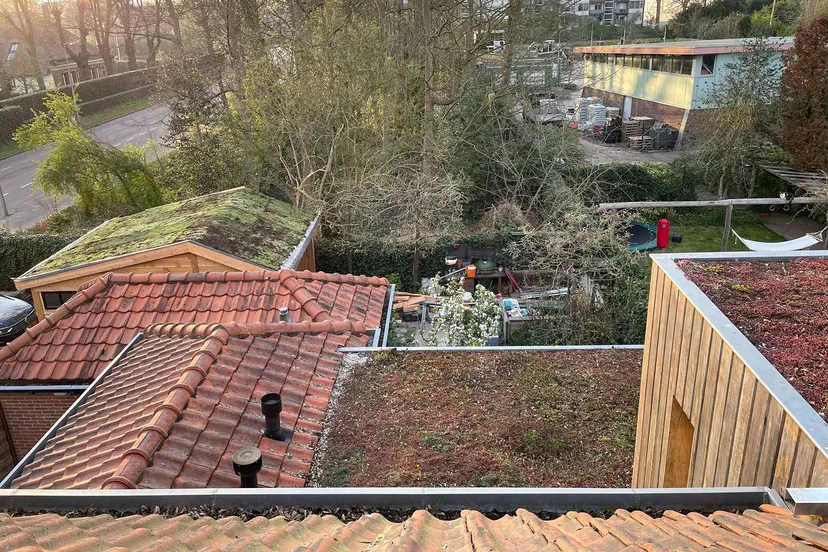 westerweg groendak kopieren