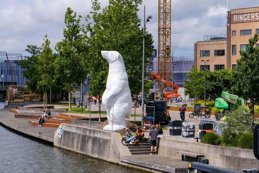 pissende ijsbeer komt aan in alkmaar 3 foto mj van lent