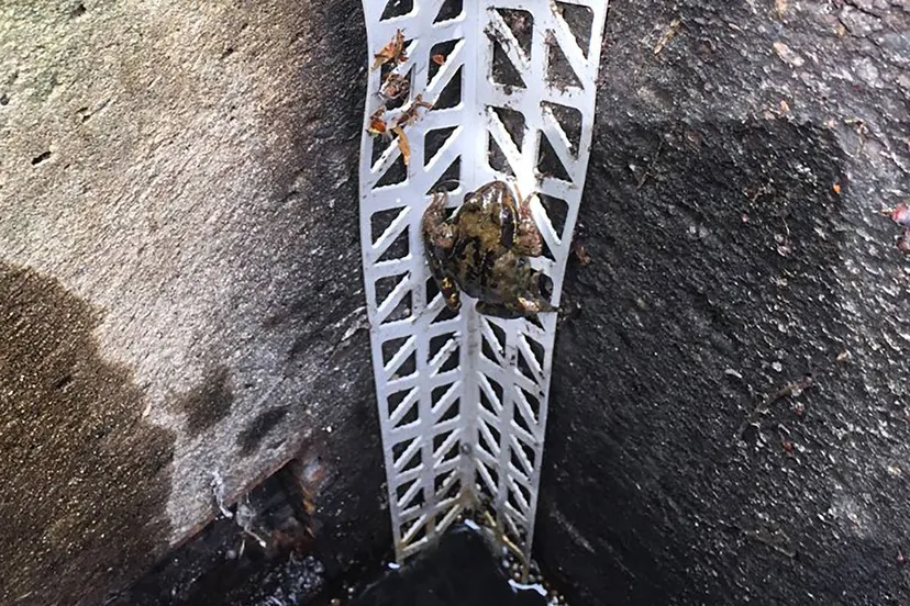 Afbeelding van WhatsApp op 2025-10-02 om 15.50.25_6dd13094 kopiëren