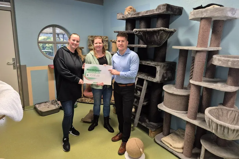 p8fgTdWuBLWopDoOCbpbKElNgoBdlURl1Sgv0mUi