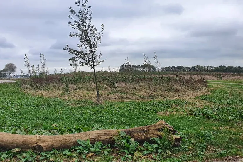 20211027-144518-natuurbegraafplaats-wim-meijer-fotografie