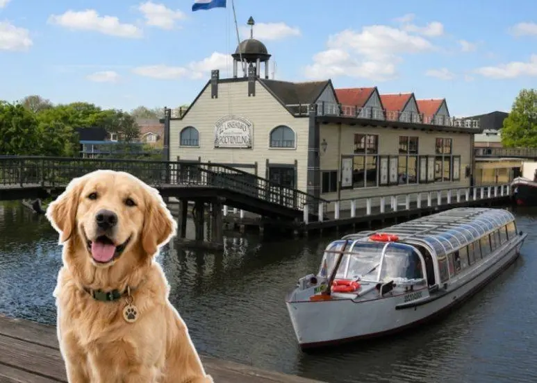 int honden dag mbv