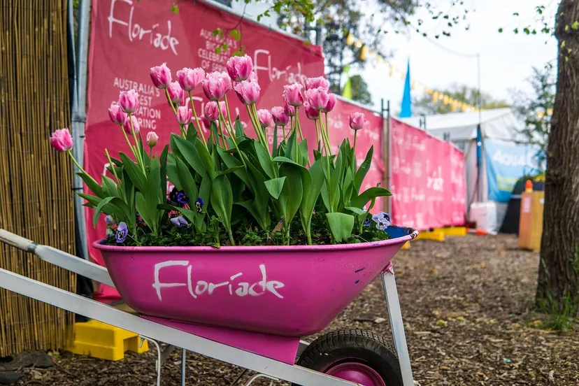 tulpen floriade patrick via pixabay
