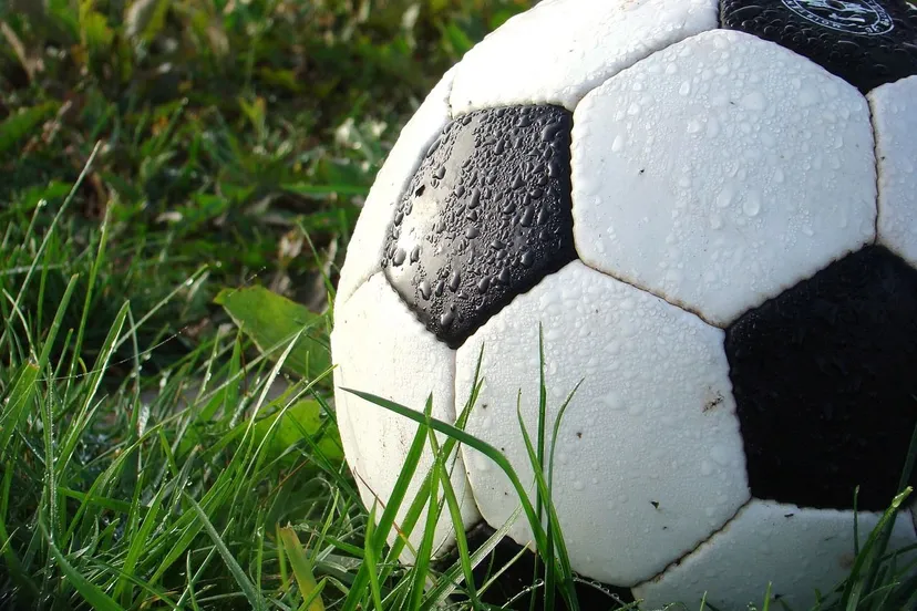 voetbal op veld pixabay