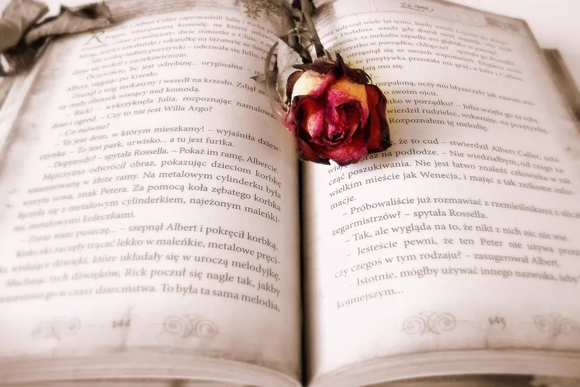 boek pixabay