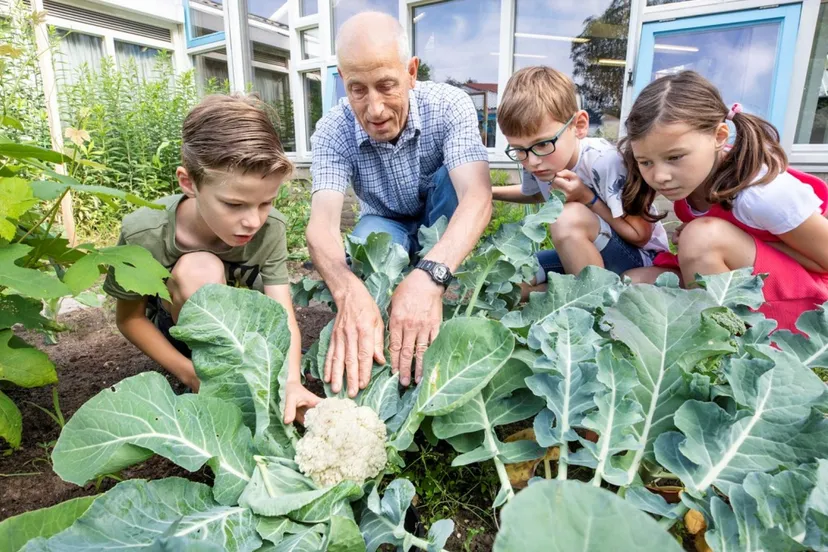 moestuinieren ivn