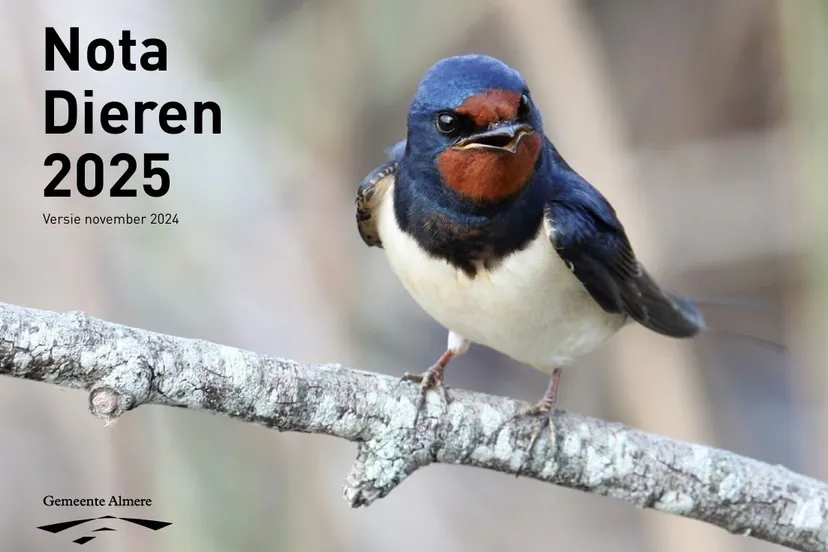 nota dieren 2025 gem almere