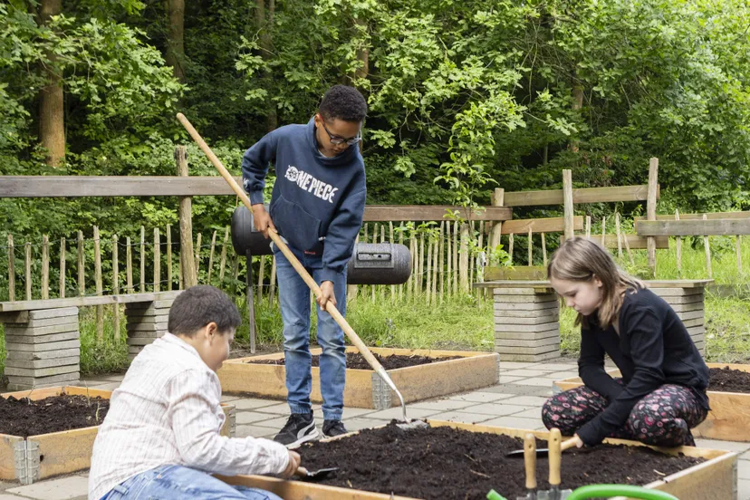 moestuinbakken almere rabo stad en natuur