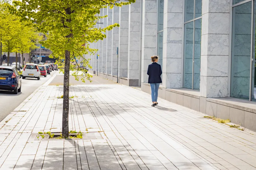 gebouw floor the green innovation hub