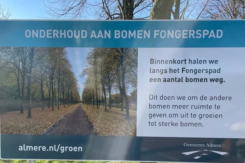 onderhoud bomen fongerspad landelijk meldpunt bomenkap