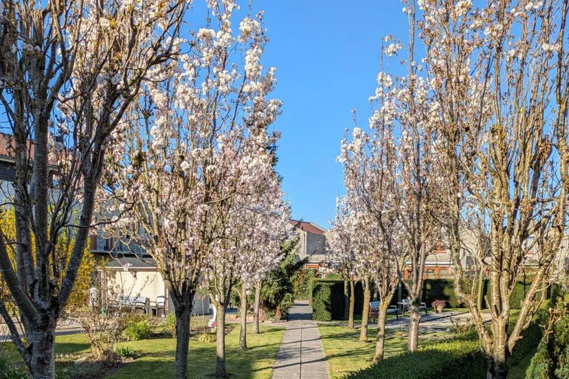 sierkers tuin woongroep de polter 50