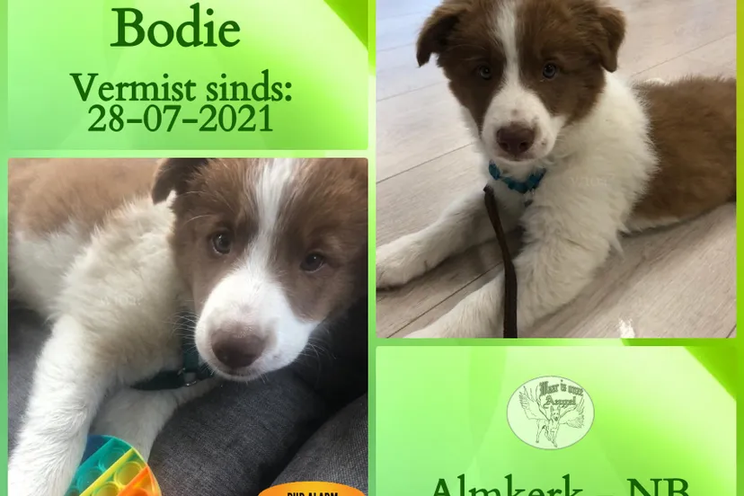 221748349 4449264755108913 5708630015452086916 n