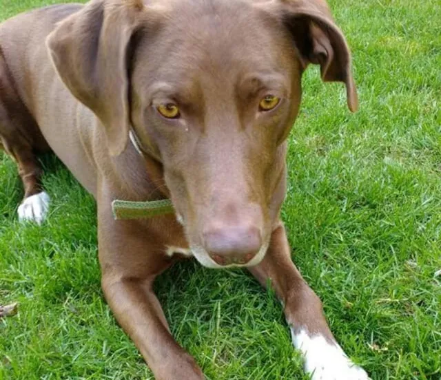 227409008 4119629058085744 3112850977720650790 n