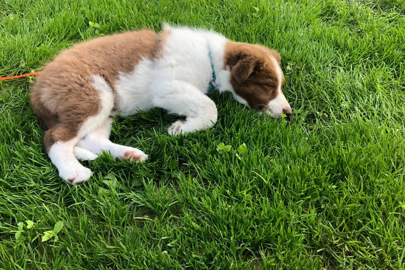 237526465 143417447925249 1347105198187506372 n