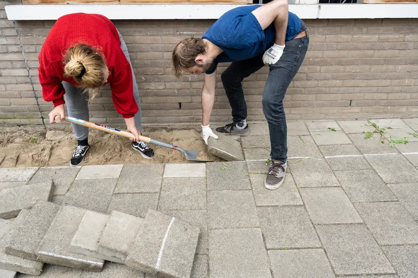 244668453 406179234488778 2700356207978971411 n