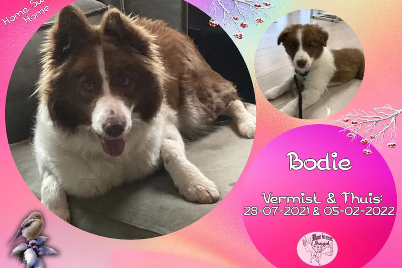 273402176 5095660560469326 137693443623512600 n