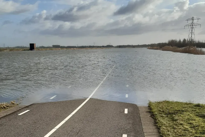 274042246 1937830829732375 7518575931771778957 n