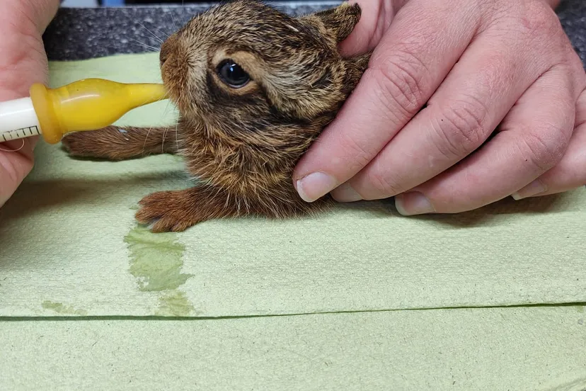 448794545 969008168569269 2166570617682172769 n