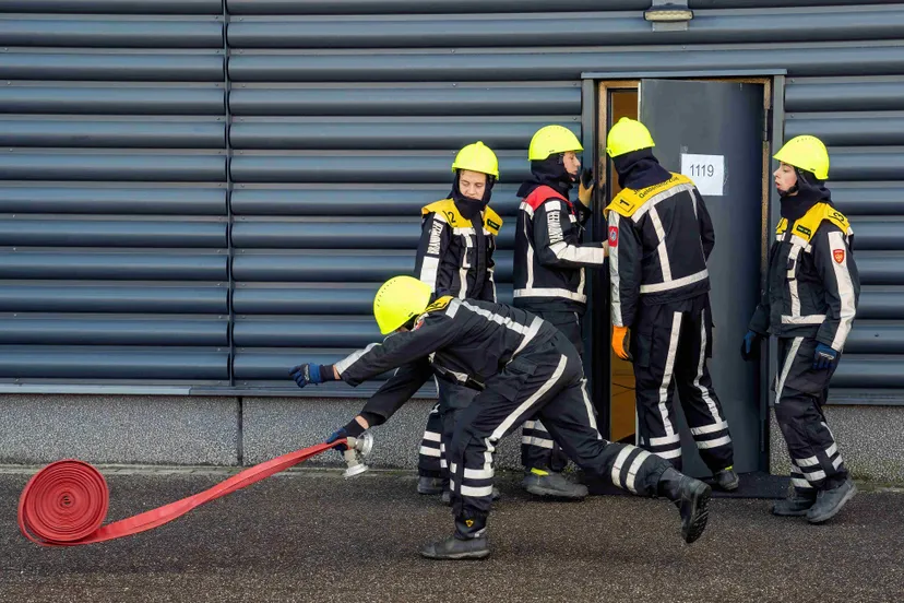 avp00189 denoiseai standard 2