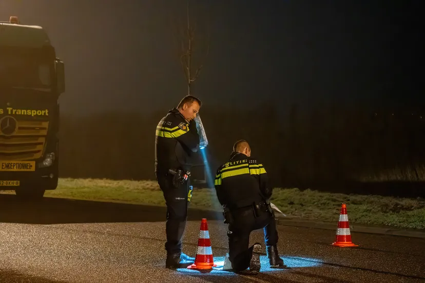 avp03377 denoiseai standard