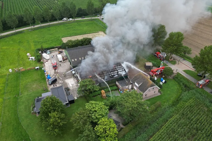 brand drongelen