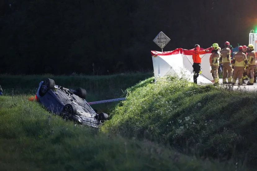 d46ff058 579b 4f3e 9d69 efcb46890651