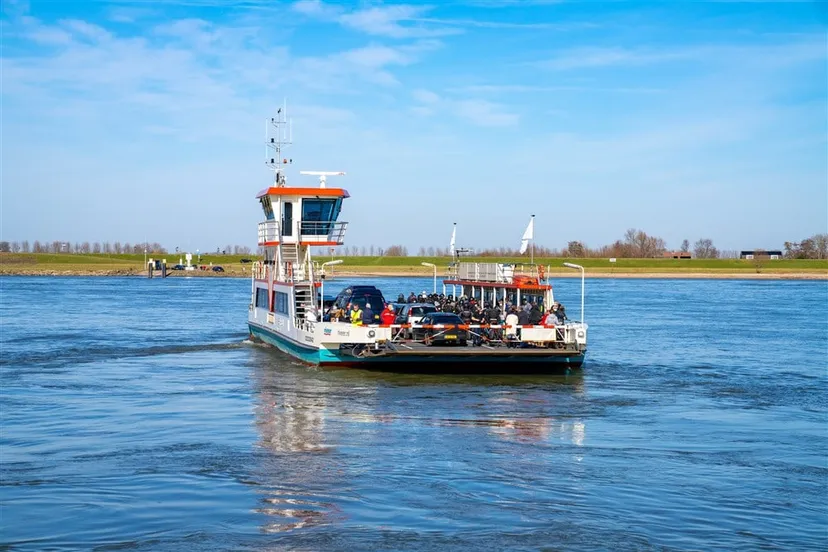 download scaled 1000x1000 26557