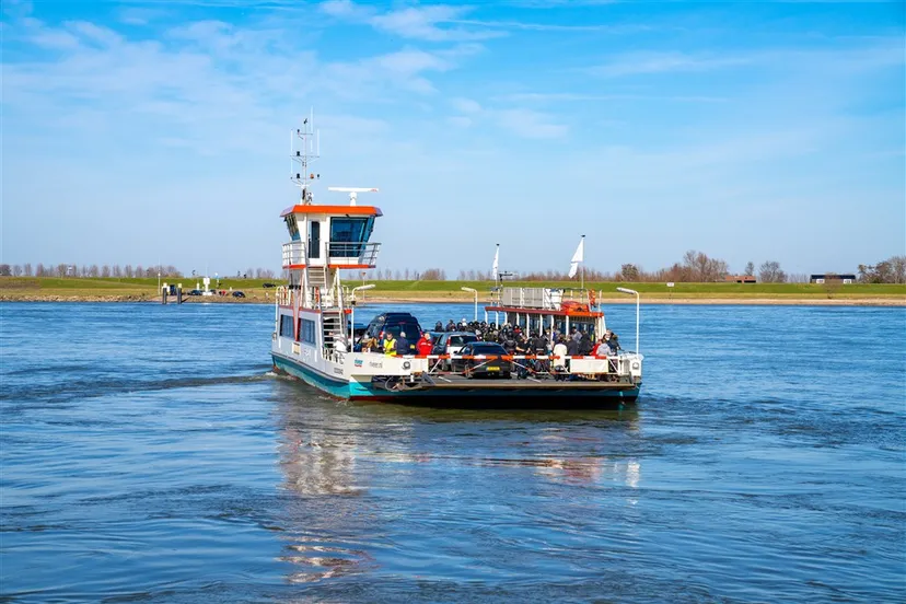 download scaled 1000x1000 26557