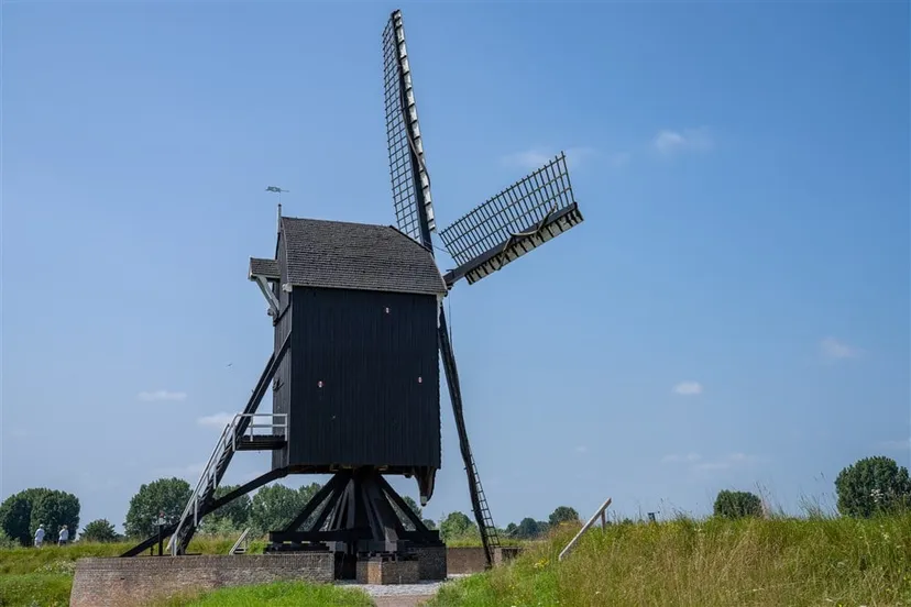 download scaled 1000x1000 54115