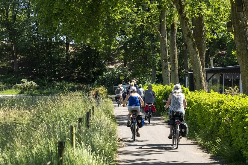 download scaled 1000x1000 68557