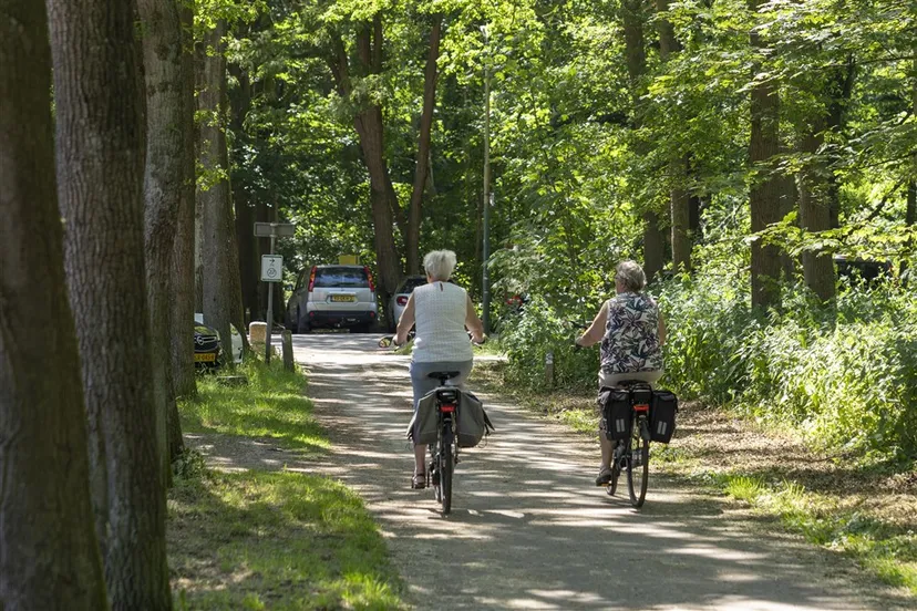 download scaled 1000x1000 68558