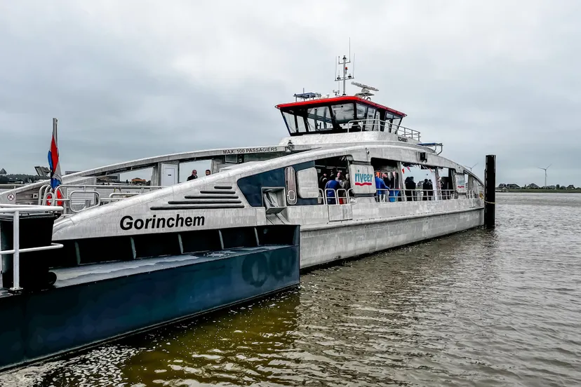 feestelijke open dag elektrische veer foto 1