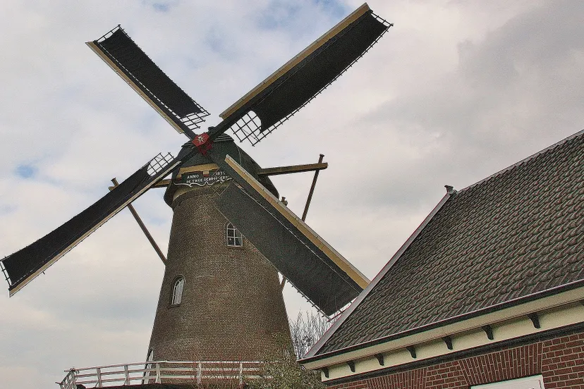 foto molen de twee gebroeders