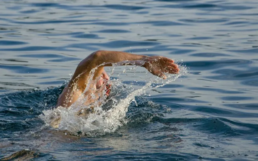 pexels mali maeder 87831 915x518 1 915x518 1