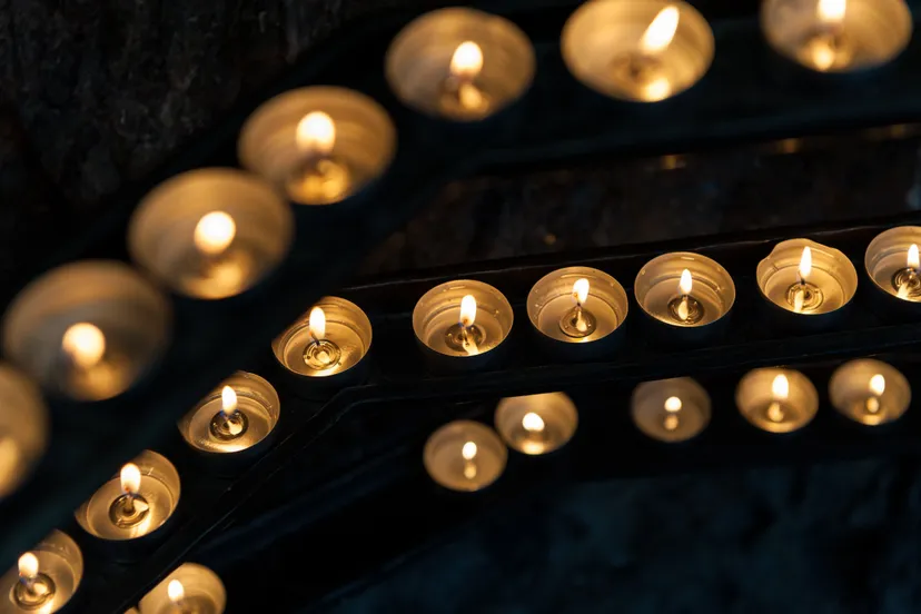 pexels pixabay 278631