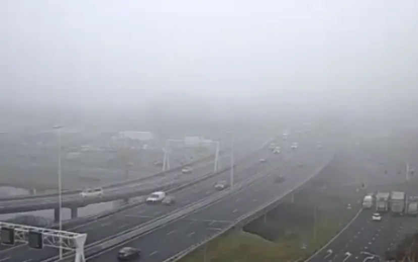 screenshot 20220113 044502 915x518 1