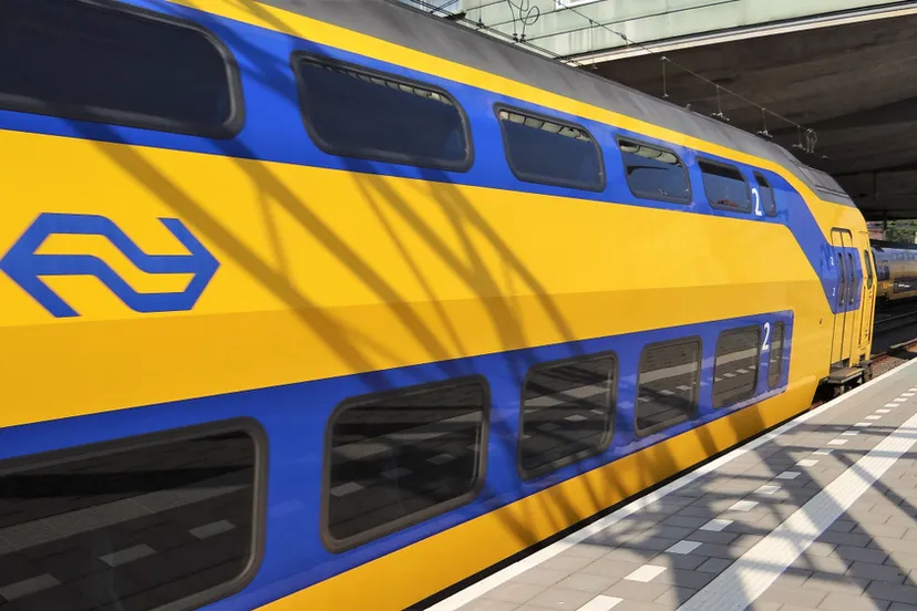 shutterstock 1164451663