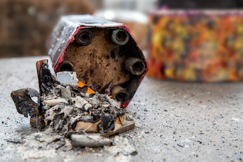 shutterstock 1559407469