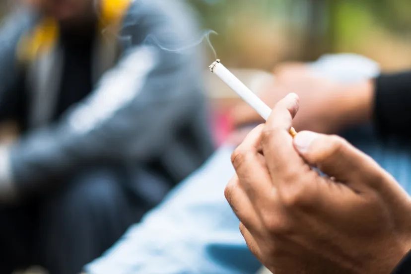 shutterstock 2036785097