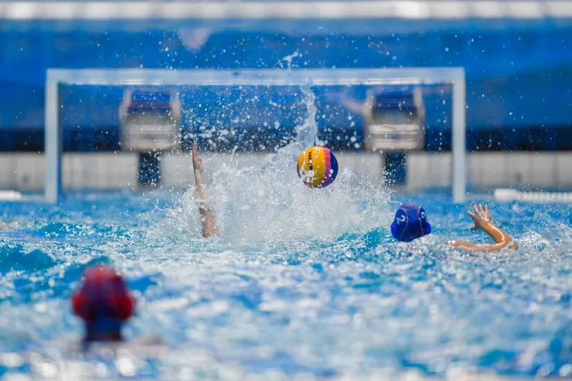 shutterstock 2064766235