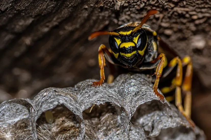 shutterstock 2142093973