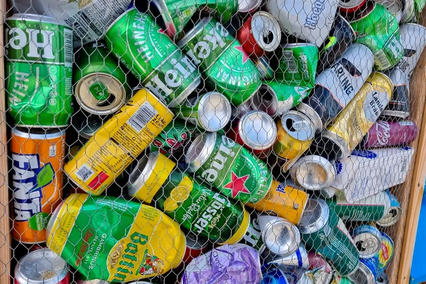 shutterstock 2219527029