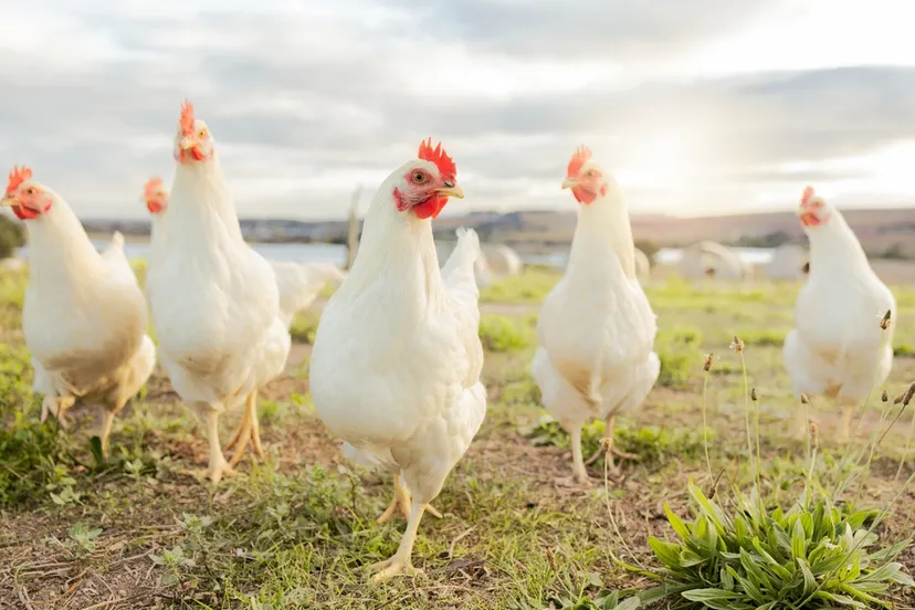 shutterstock 2227464335